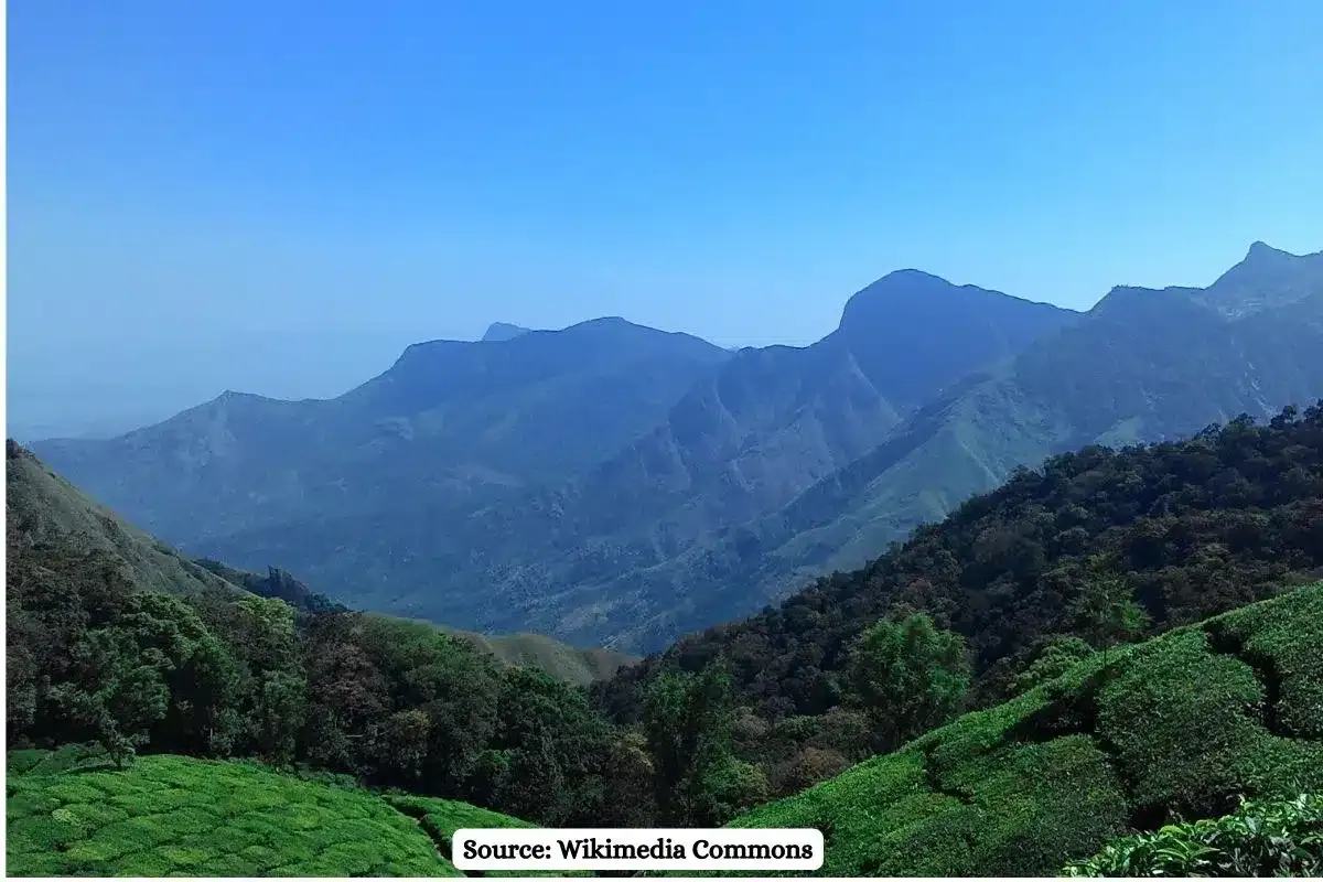 Adani's energy project to destroy ecologically sensitive forests of Western Ghats