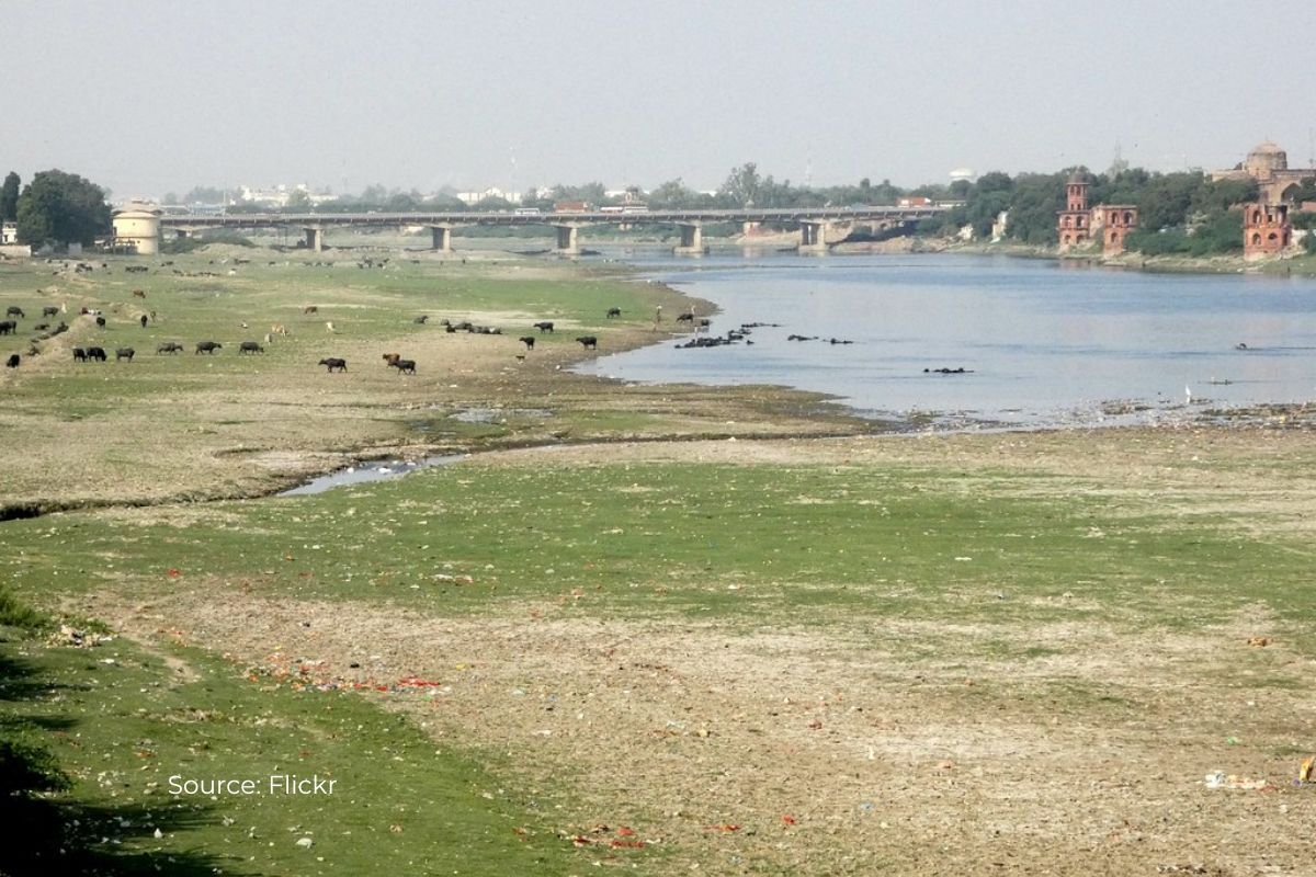 Yamuna is drying in early February, how it will impact you?