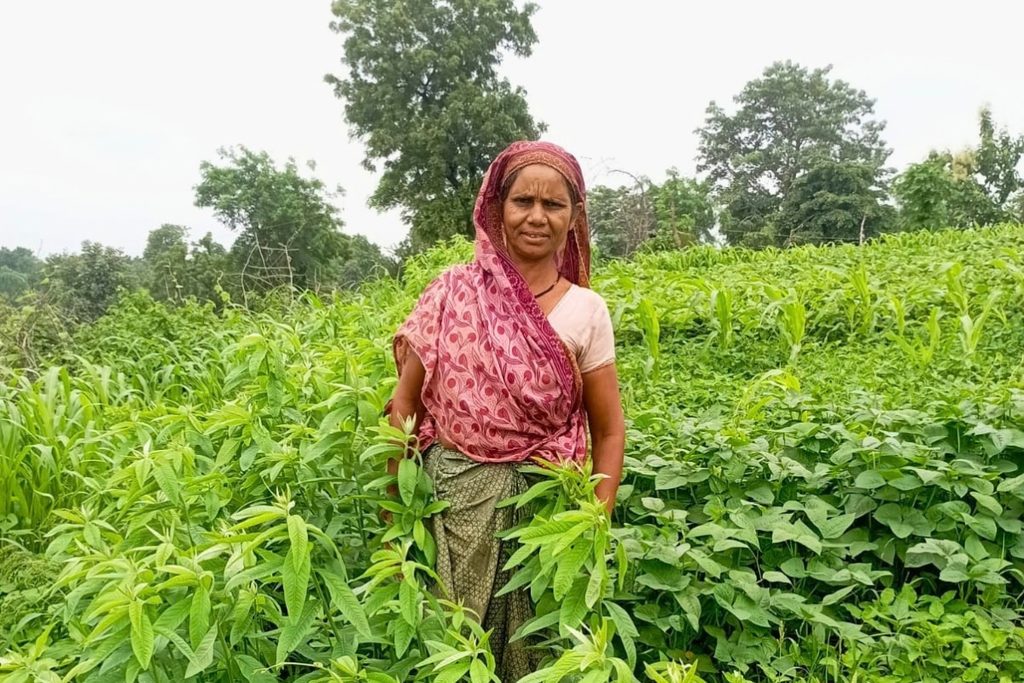 भगवती बाई, अपने हरे-भरे खेत के बीच खड़ी होकर फसल की स्थिति दिखा रही हैं। | फोटो: सनव्वर शफी