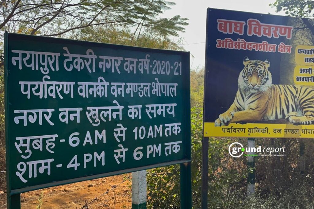 Controversy around chandanpura forest tourism plan in Bhopal