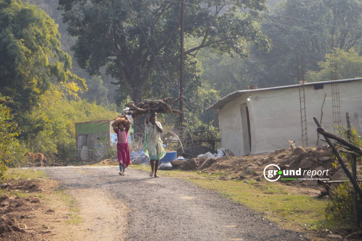 40 फीसदी बिगड़े वन निजी कंपनियों को देने से आदिवासियों का क्‍या होगा?