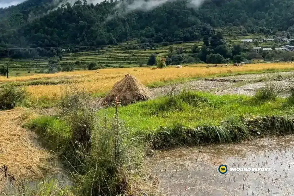 Uttarakhand grapples with declining food production