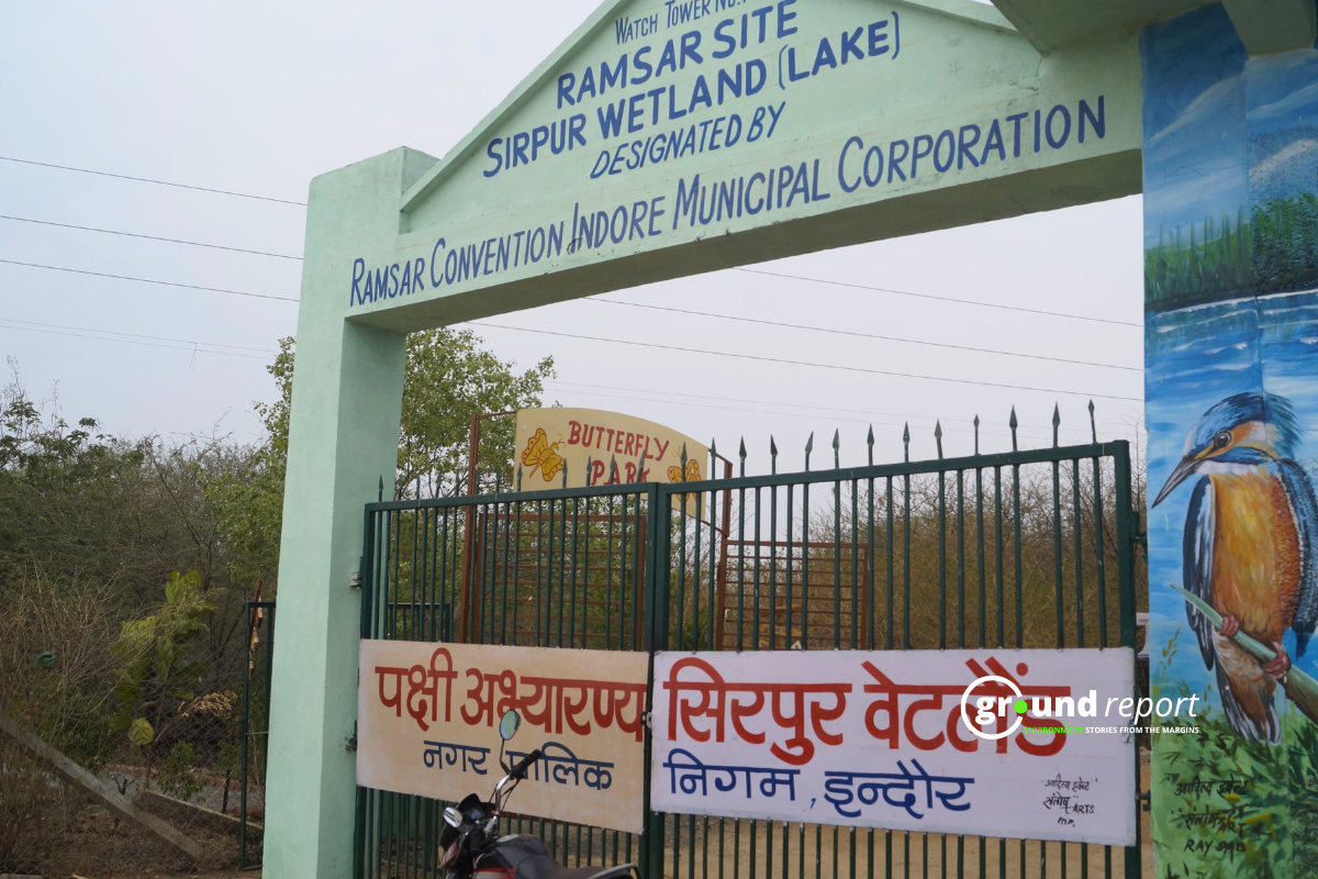 Sirpur Wetland 10 11