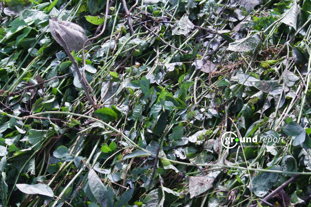 Dhasan riverside villages face kharif crop losses after heavy rainfall