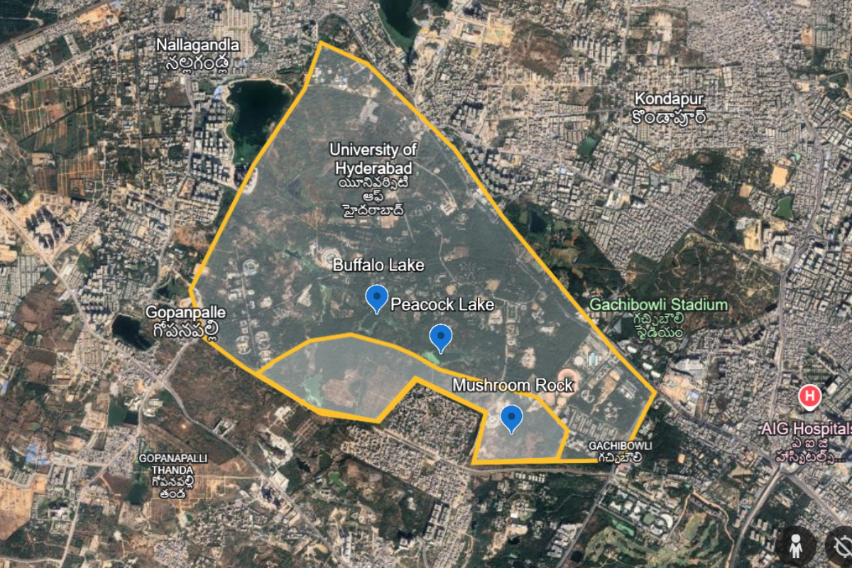 University of Hyderabad