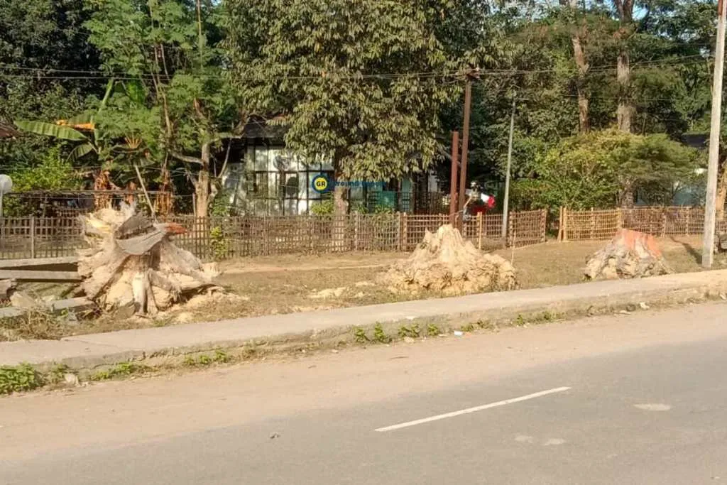‘Jorhat-Demow’ Stretch of NH-37