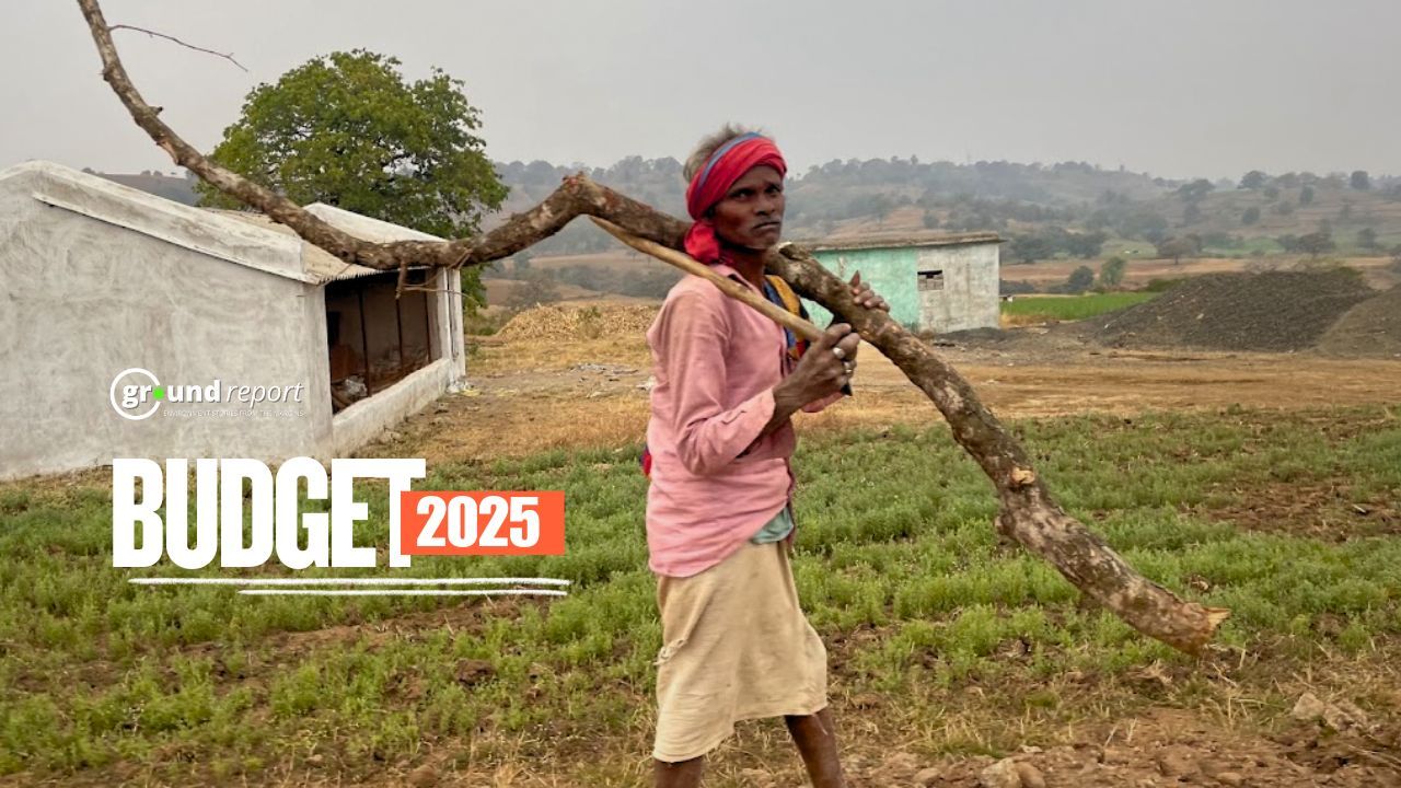 Union Budget 2025: Environment ministry budget increases, but coastal mission and crop insurance face cuts