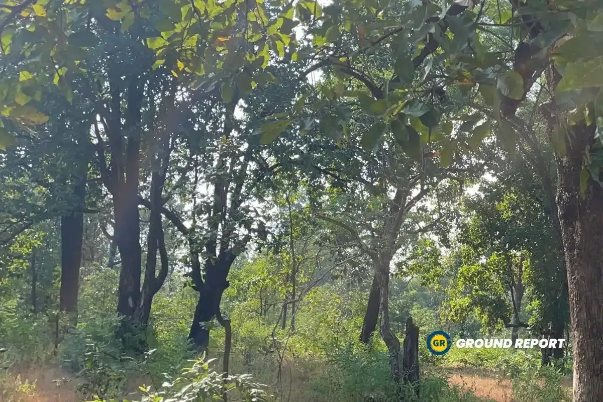 Forest Villages of Madhya Pradesh waiting for conversion into revenue village