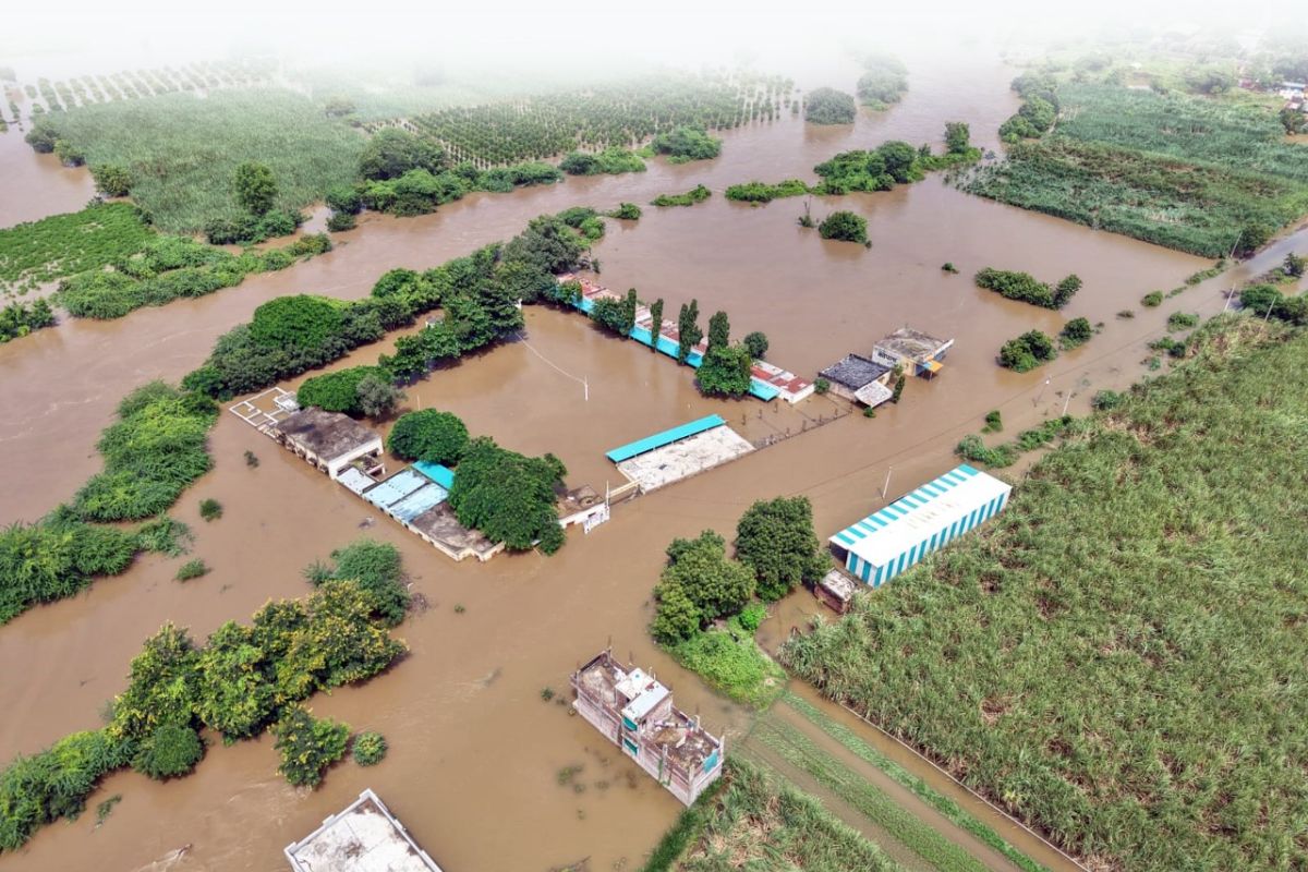 Heavy Rains Flood Nashik and Marathwada, Villages Cut Off