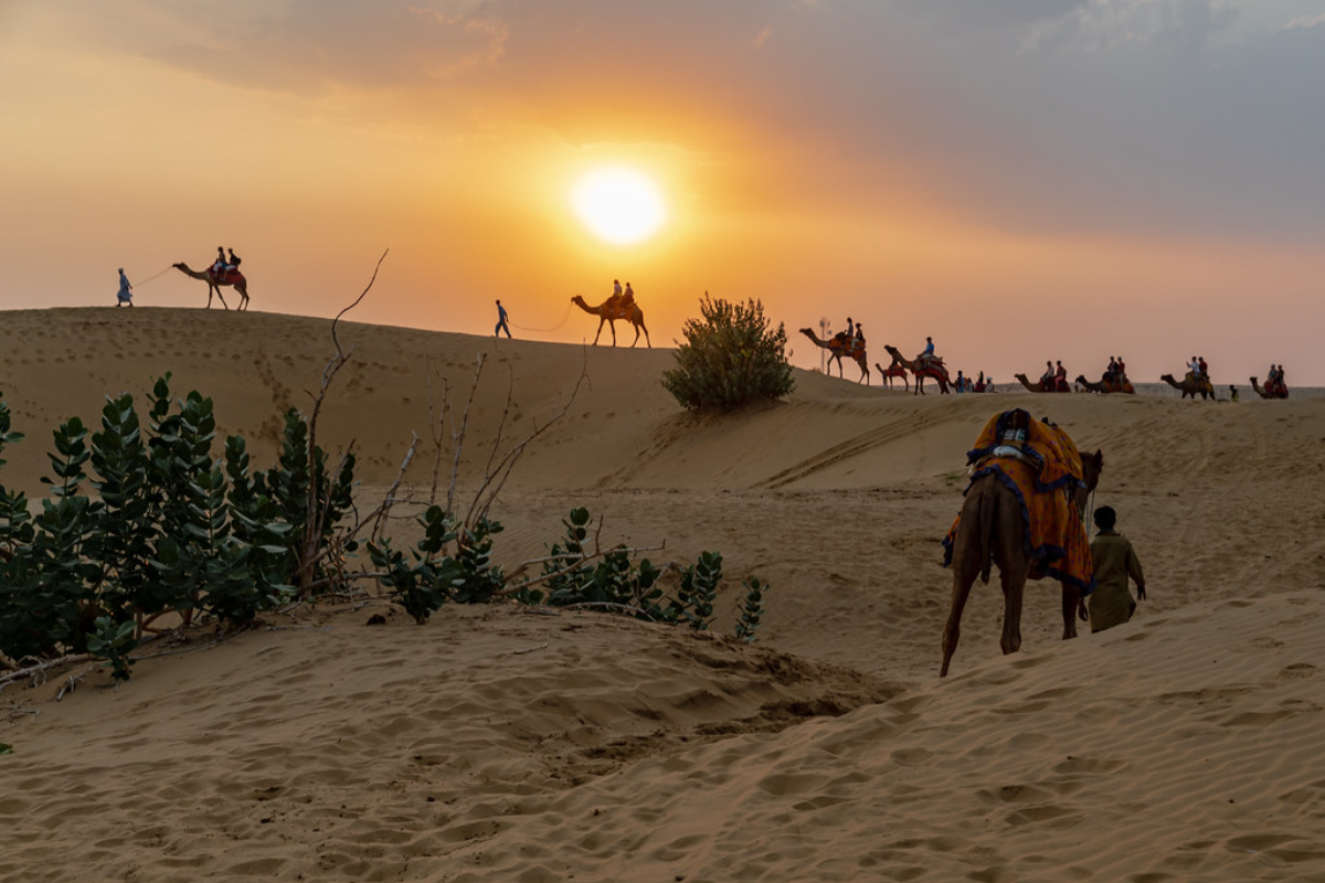 How climate change & canals are turning Thar desert Into farmland?