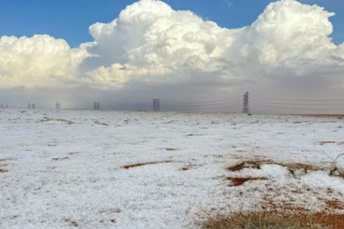 Climate change? Saudi Arabia's Al-Jawf stunned by rare snowfall