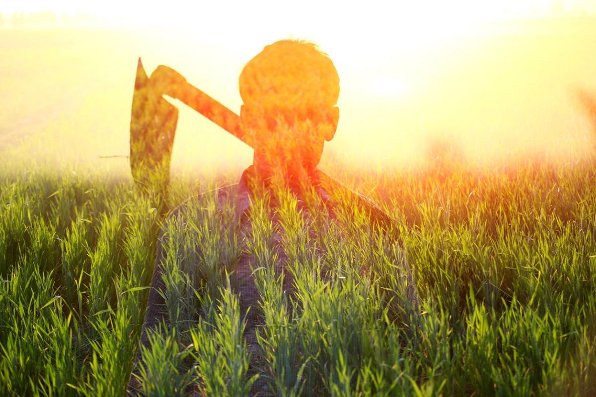 Union cabinet merges agricultural schemes under two umbrella programs