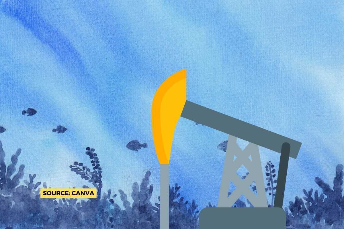 What are the negative impacts of deep-sea mining?