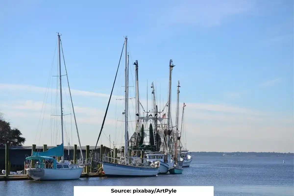 75% of the world's industrial fishing is carried out secretly: Study