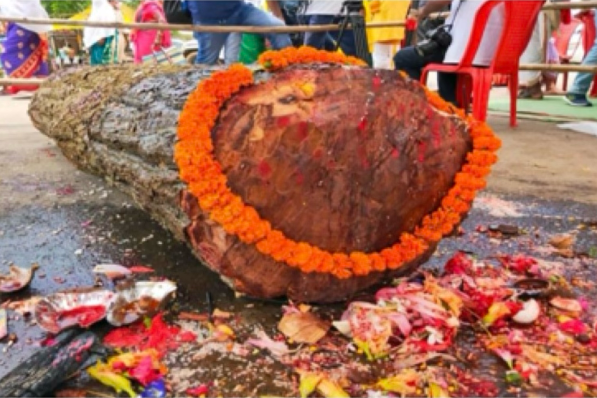 Hareli Festival and Pat Jatra