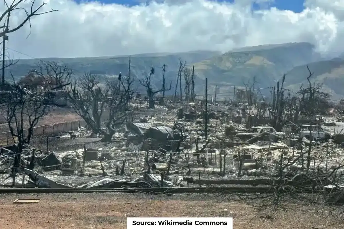 Costliest climate disasters of 2023, highlight serious risks for poor countries