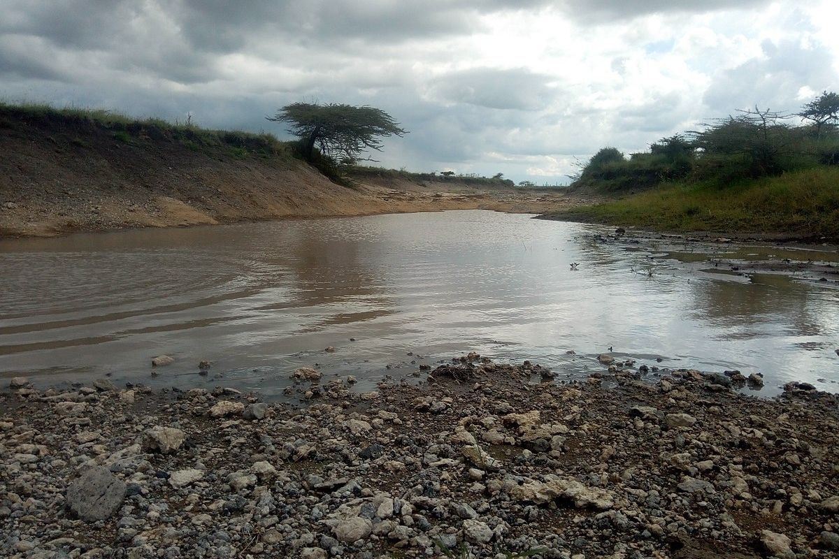 River flows hit record ows in 33 years amid global heat: UN report