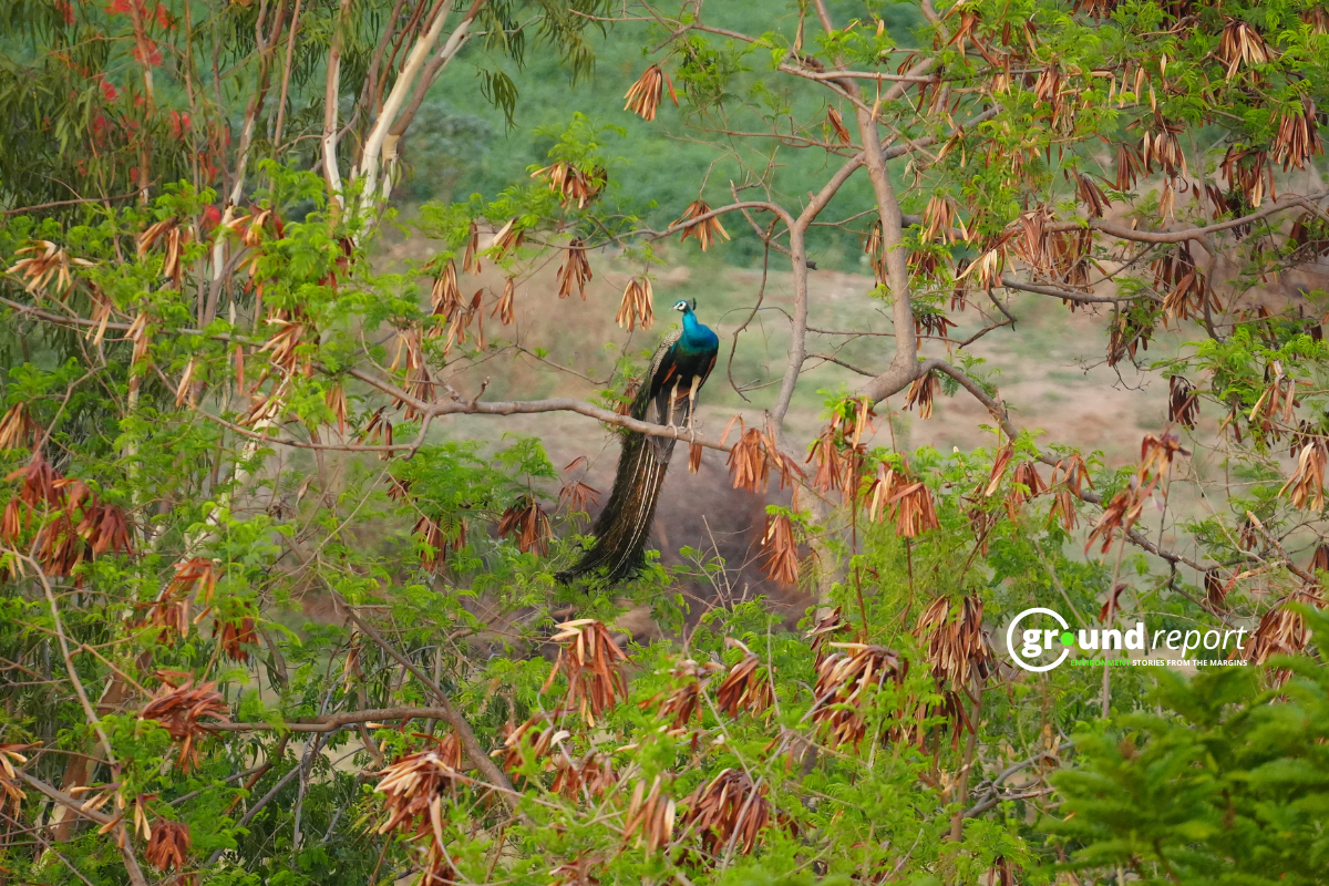 Hyderabad students protest over land auction223465