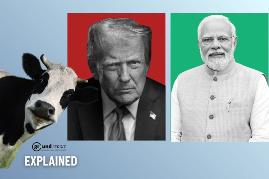 Non Veg Milk and United States Tariffs on India