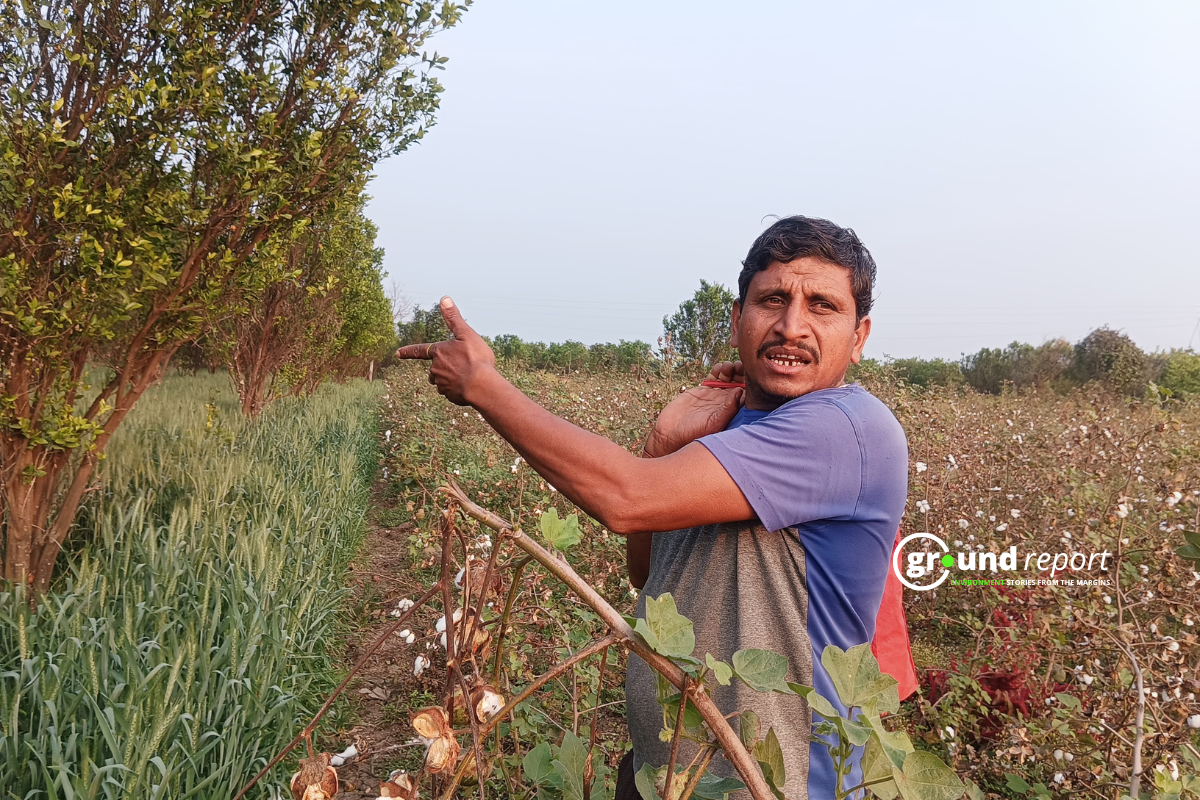 Climate Crisis Makes Kitchen Staples Unaffordable in India