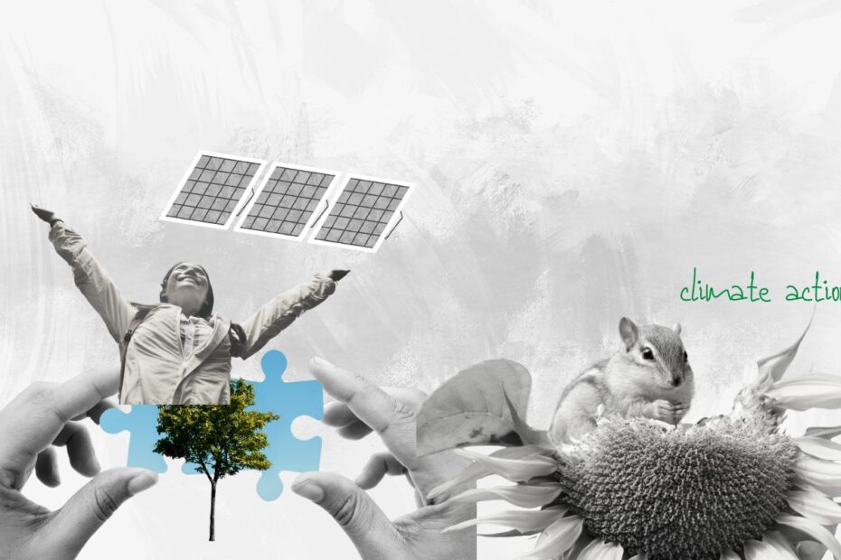 Environment News India