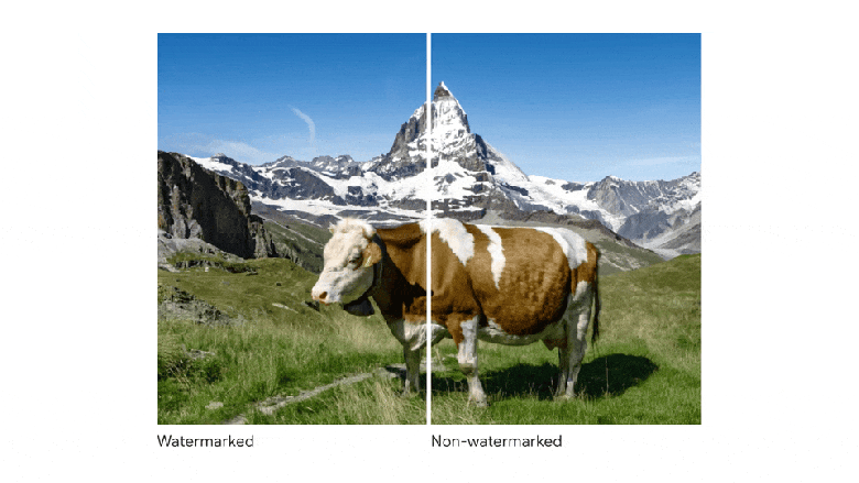 Google SynthID, the tool that detects images generated by artificial intelligence.