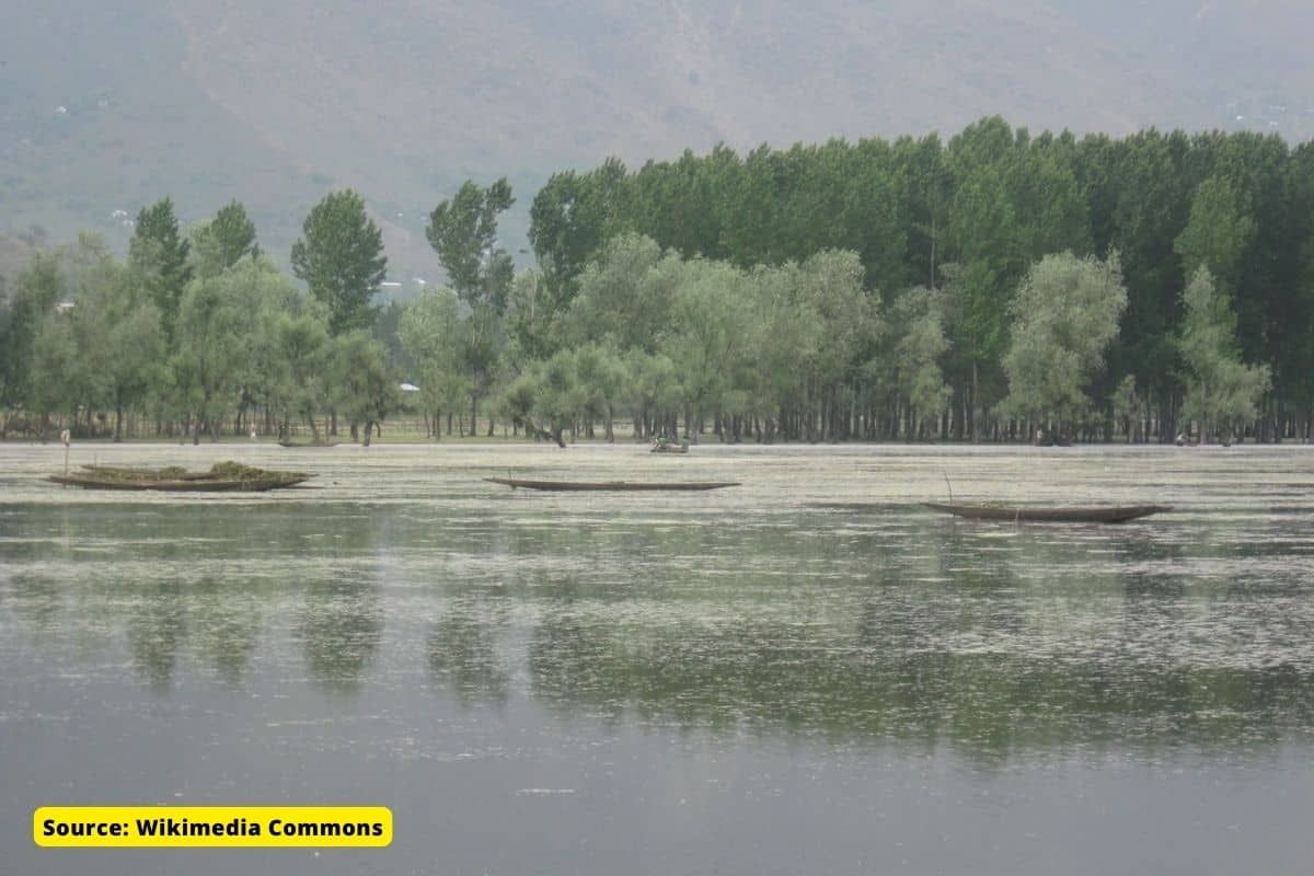 Wetlands of Jammu and Kashmir