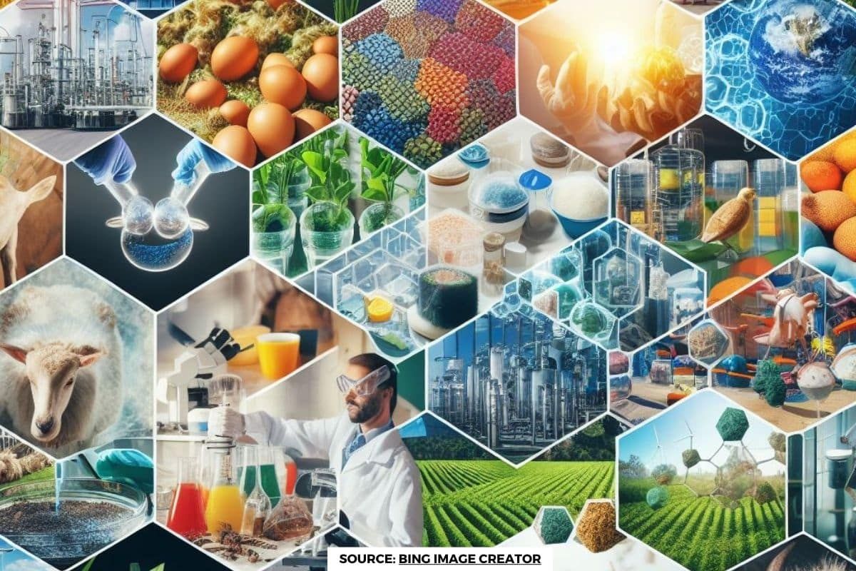 What is Bioeconomy and Why is it Important?