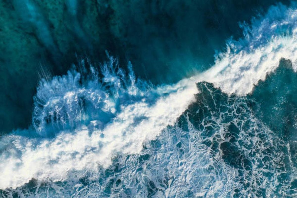 What will the water situation be in the world in 2050?