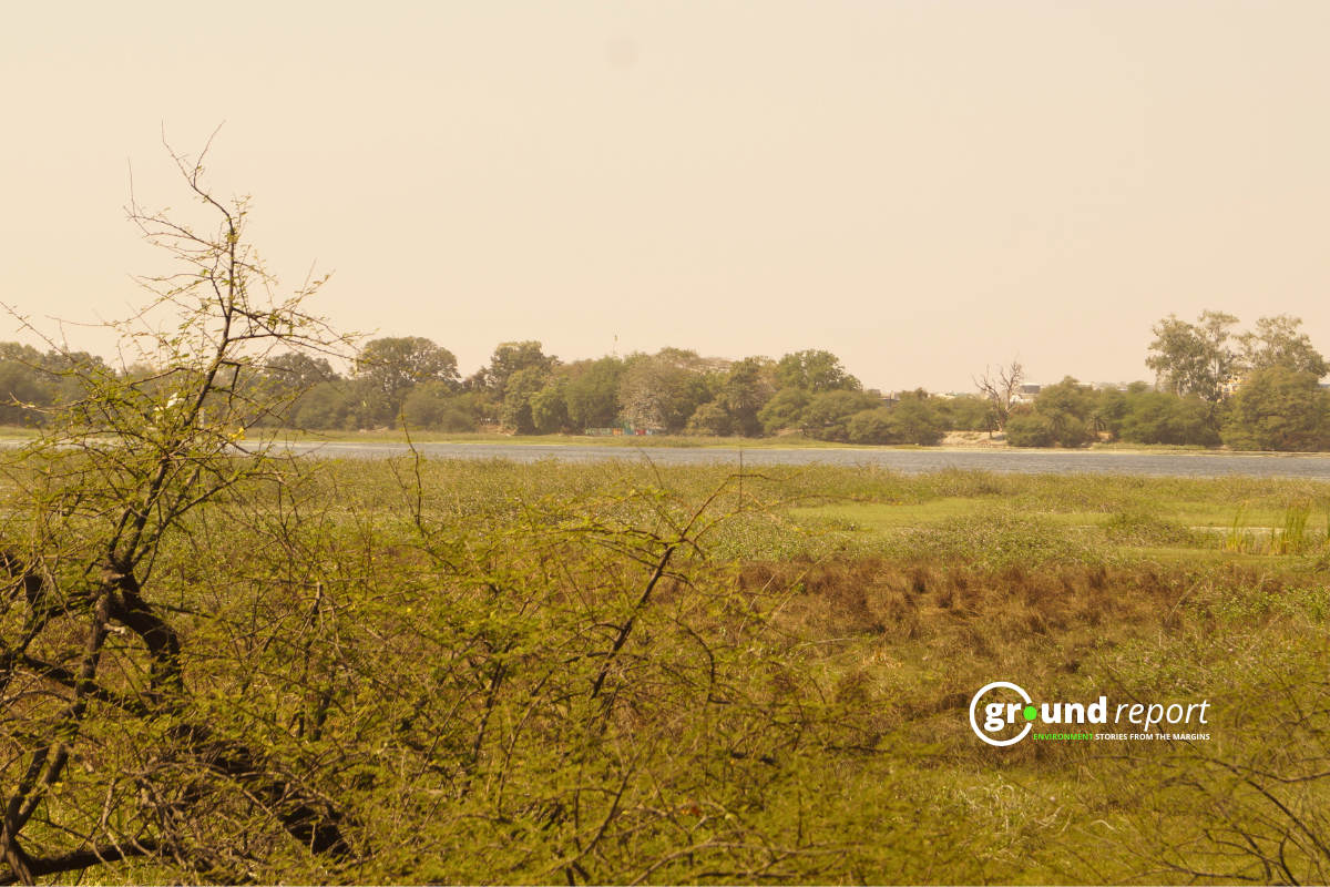 Sirpur Wetland 10 11 1213