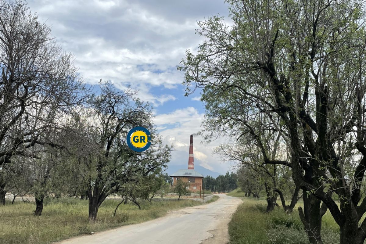 Almond Farmers losing land in Kashmir