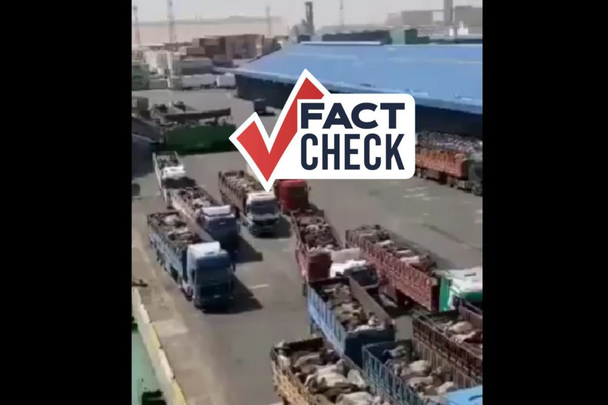 Fact check: Reality of video showing cows transported through Adani Port for slaughter