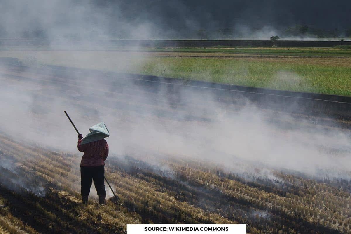 If farmers burn stubble two hour earlier can reduce it’s affect: Study