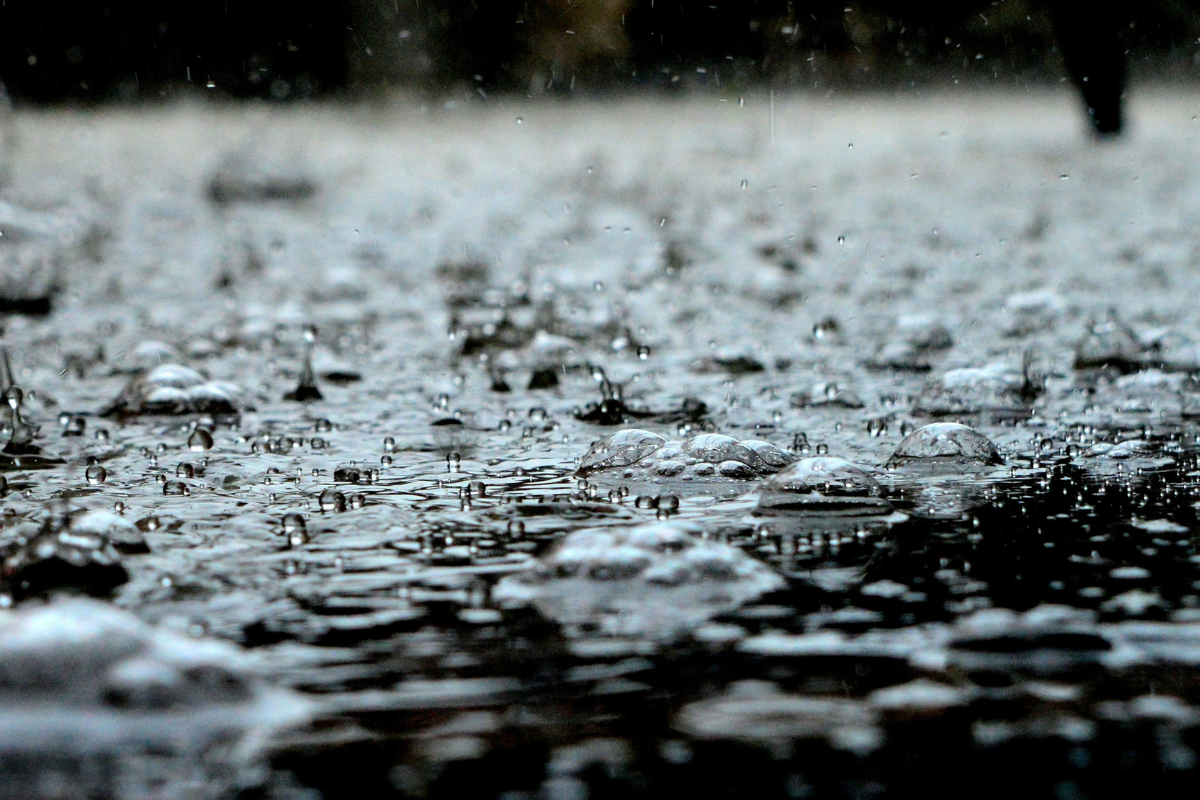 Cyclone Fengal brings rain alert and cold wave warning to MP