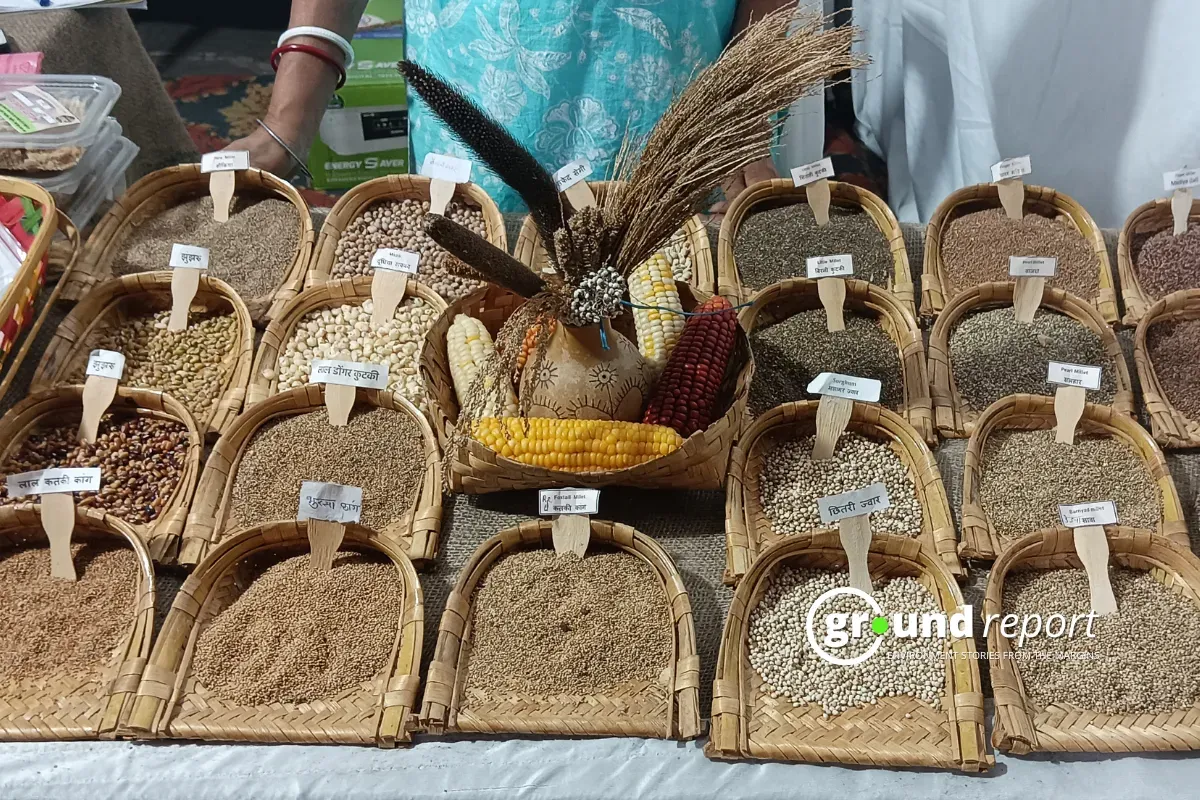 desi seed