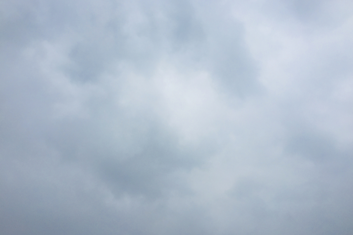 Fog covers Madhya Pradesh on Makar Sankranti, rain & cold days ahead