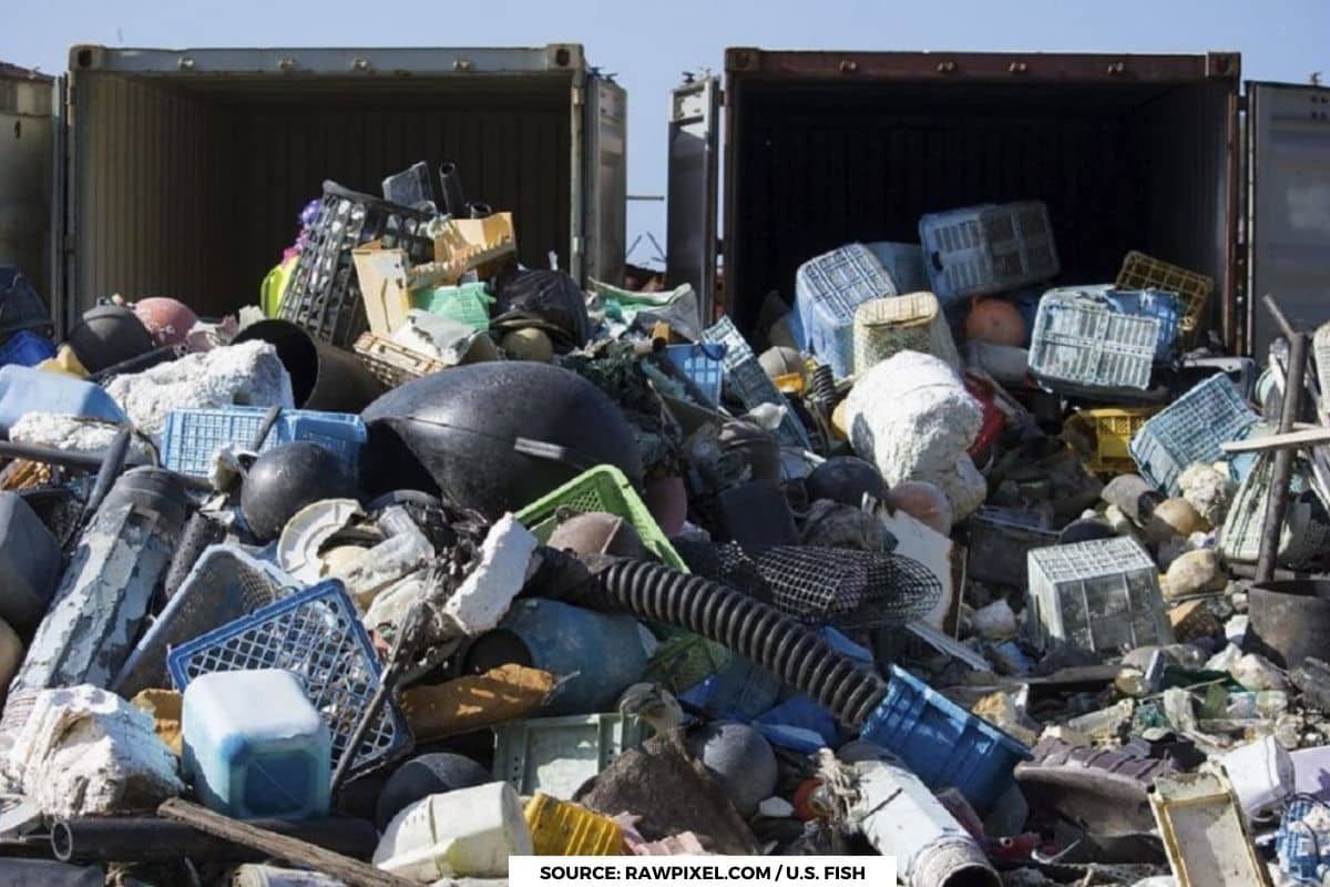 Dangerous bacteria found in plastic waste thrown into rivers: Study