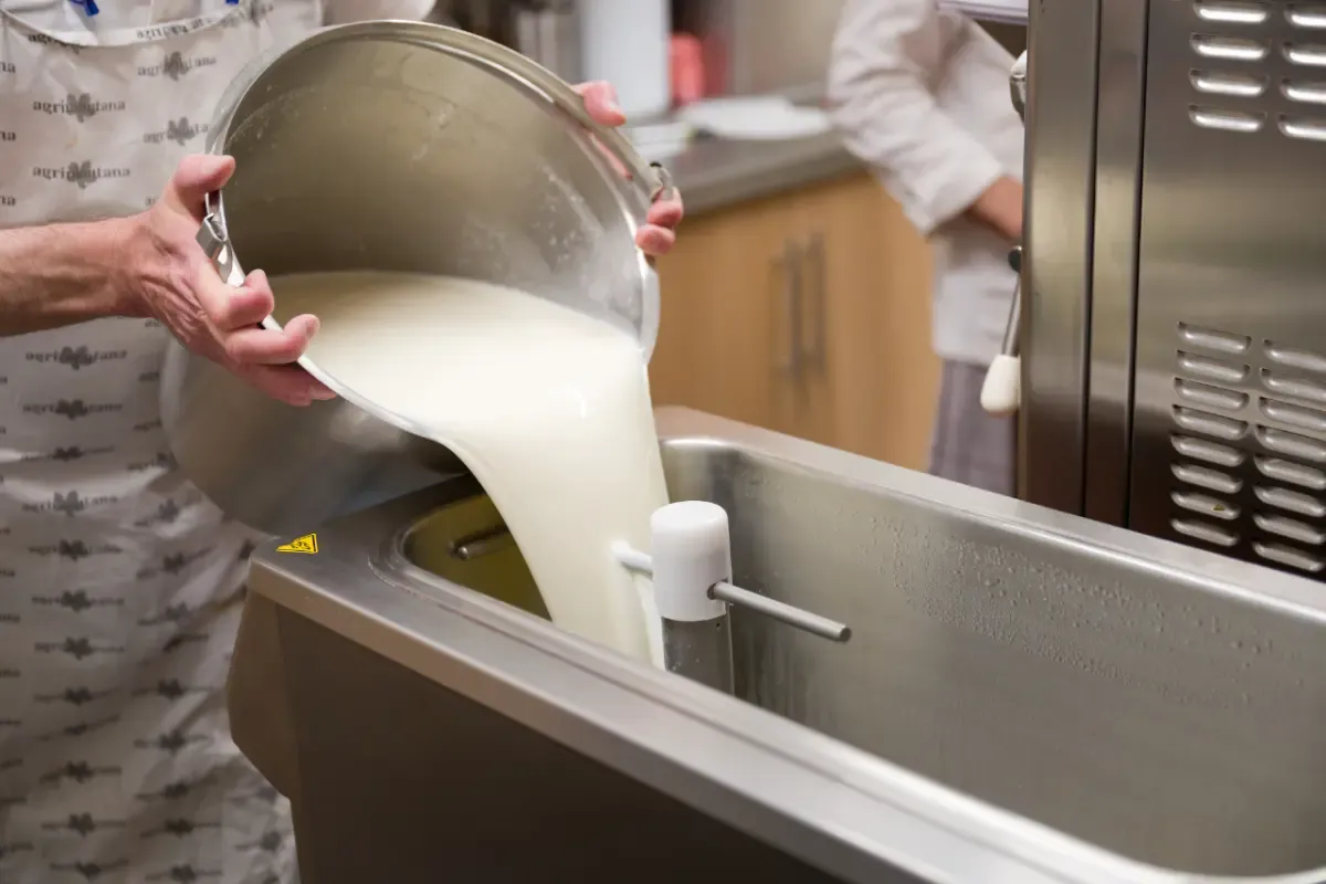 World Milk Day 2024: क्या कुपोषण से निजात दिला सकता है दूध?