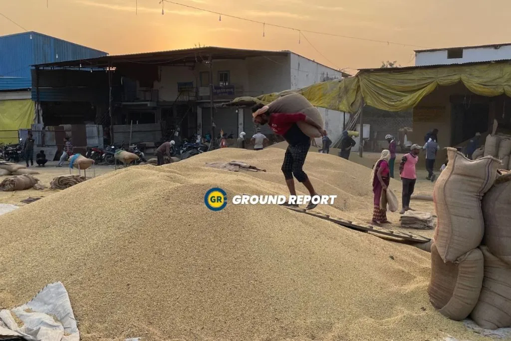 Workers unloading the soybean from trolleys through sacks