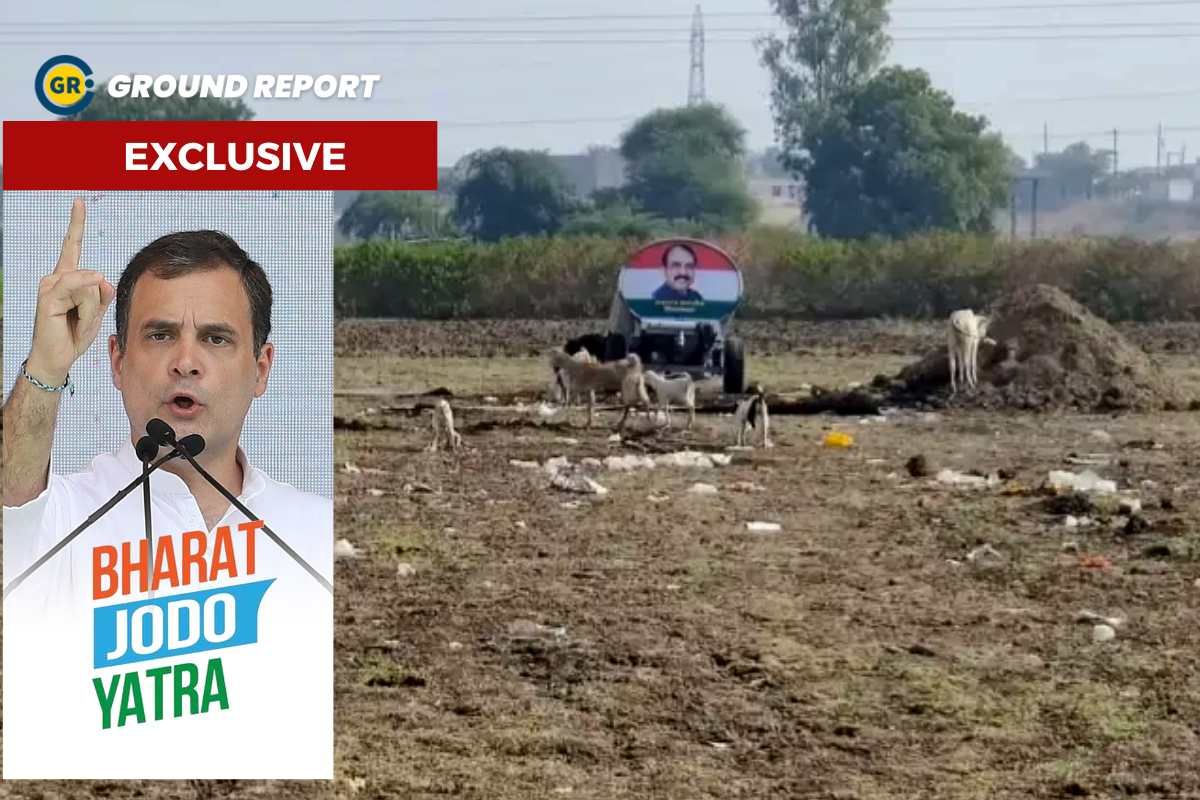 Bharat Jodo Yatra's environmental cost