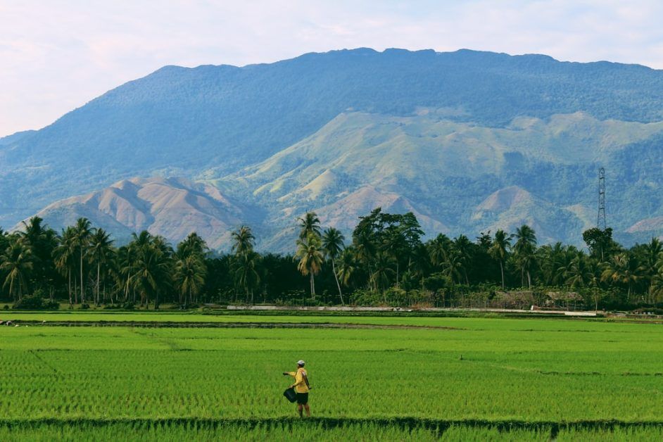 Farmers' debt increased by 57.7 percent in five years