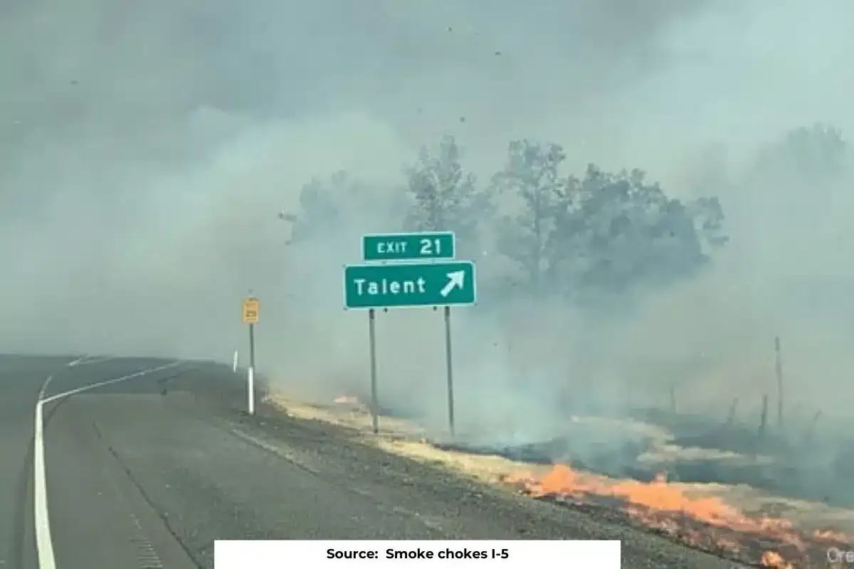 Cost of Europe’s wildfires 2023: How can govts future-proof against wildfire?