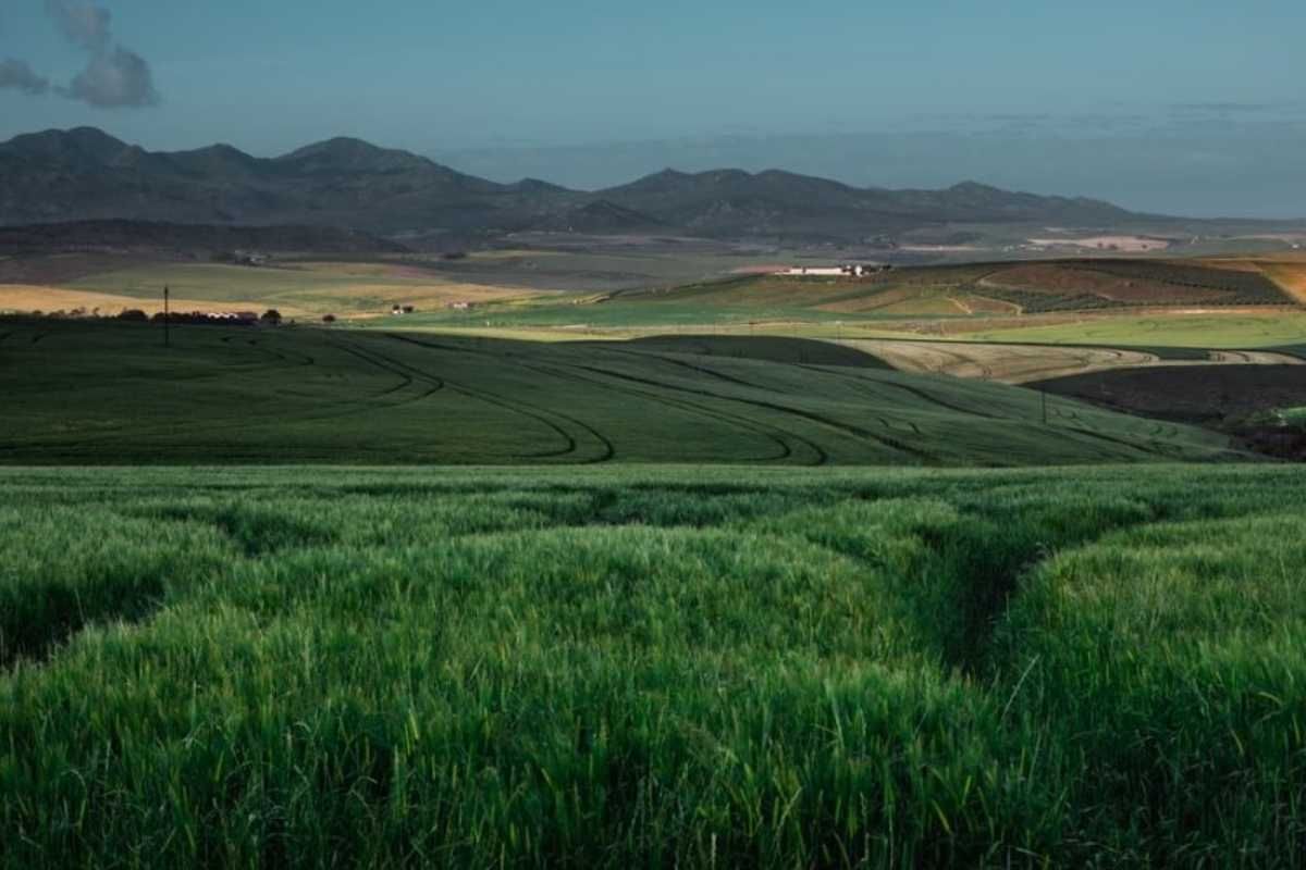 Kikruma village in Nagaland still living in an ancient way