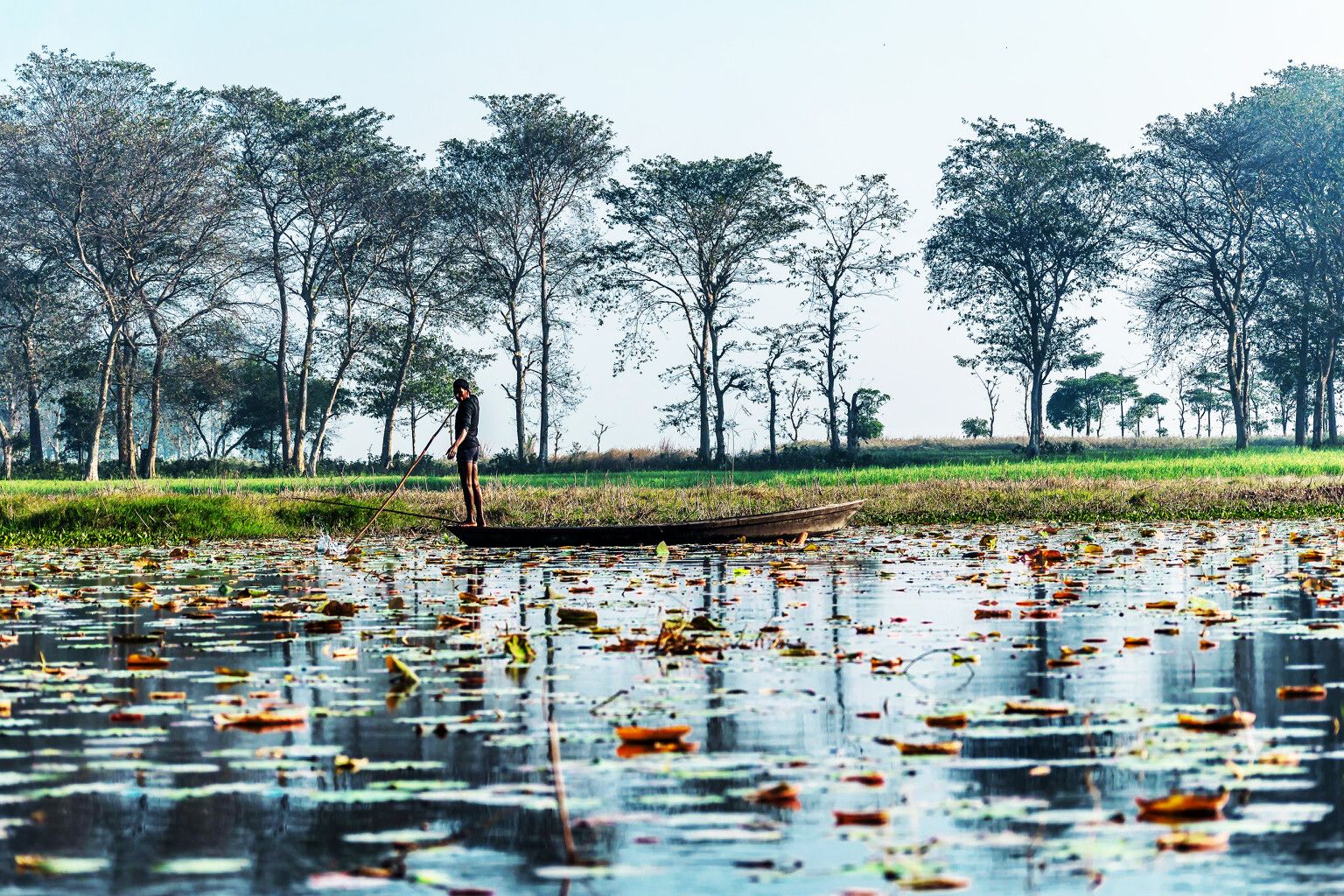 Kanwar Lake: अस्तित्व के संकट से जूझती सबसे बड़ी मीठे पानी की झील