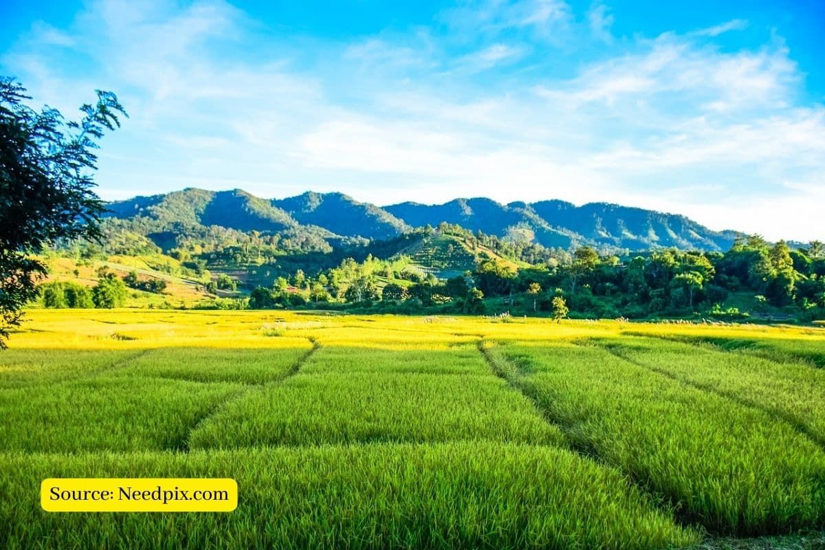 Explained: Jammu and Kashmir Land Grants Rules