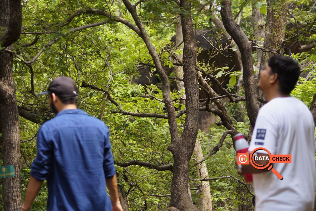 Madhya Pradesh loses forest cover equal to Indore's size