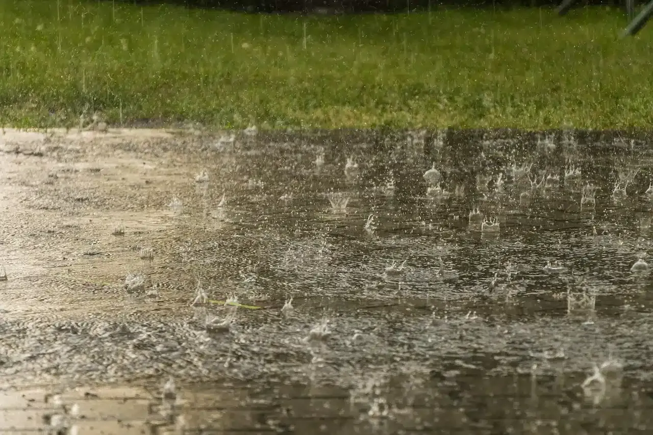 Hailstorm, rain and snowfall likely in parts of India due to Western Disturbance