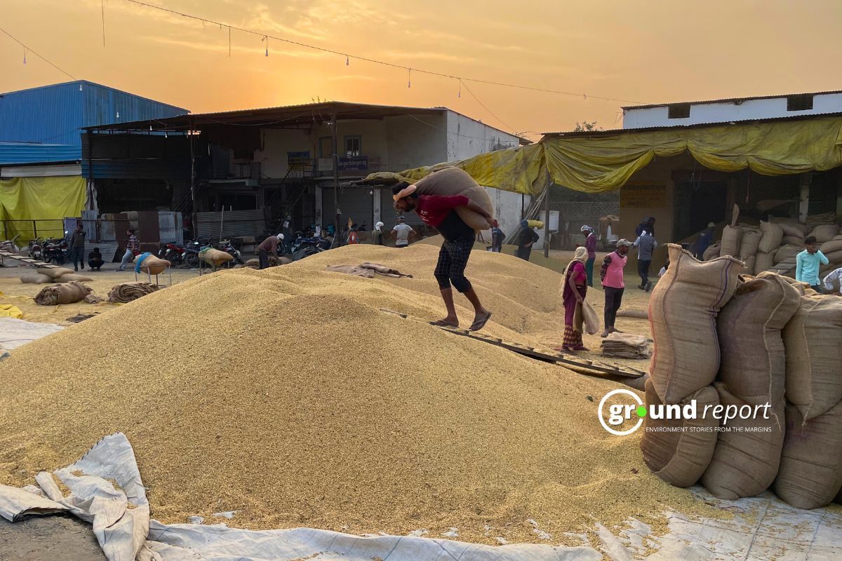 Post-harvest losses still high, reveals data shared in Lok Sabha