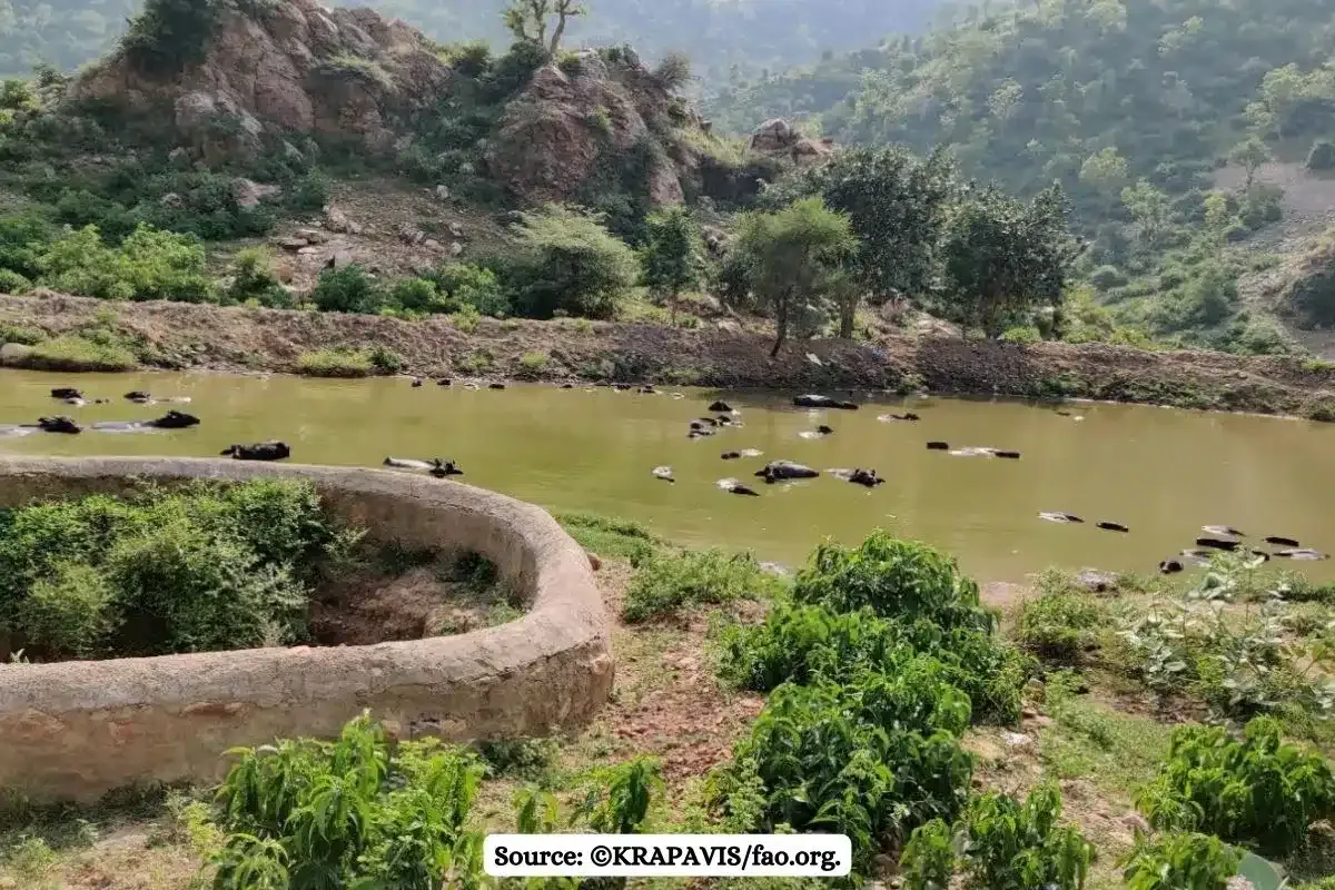 "Oran of Rajasthan needs protection but not like forests"