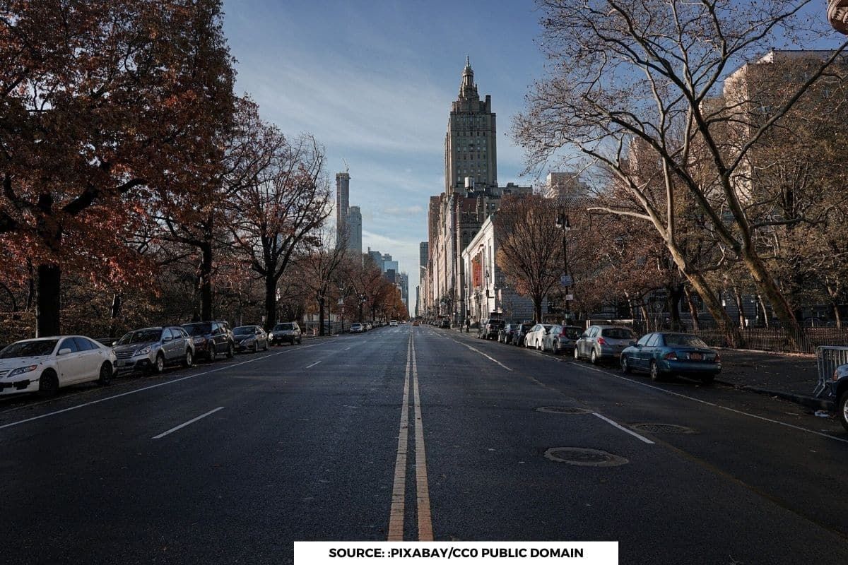 Urbanization Triggers Evolution of plants, reveals study